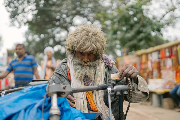 Comprendre le prix d'une assurance chien et ses facteurs