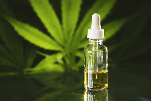 Découvrez l'univers du cbd dans une boutique en ligne